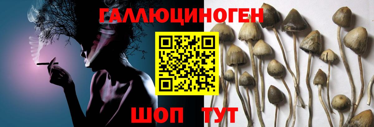 Галлюциногенные грибы ЛСД Белебей